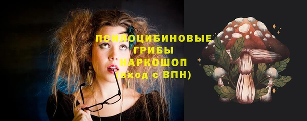 ГАЛЛЮЦИНОГЕННЫЕ ГРИБЫ Абинск