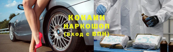 ГАЛЛЮЦИНОГЕННЫЕ ГРИБЫ Абаза