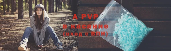 ГАЛЛЮЦИНОГЕННЫЕ ГРИБЫ Абаза