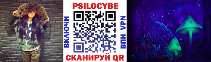 Псилоцибиновые грибы Psilocybine cubensis  Стрежевой 